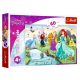 Trefl Disney 60 darabos puzzle - Találkozás a hercegnőkkel
