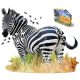 WOW, 1000 darabos Zebra puzzle csomag