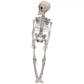 Halloween csontváz 100 cm