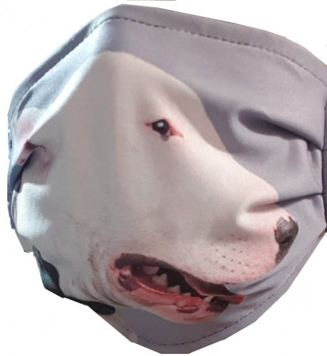 Bullterrieres gyerek textil maszk.Mosható