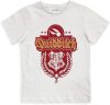Harry Potter Quidditch gyerek rövid póló, felső 8 év / 128 cm