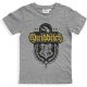Harry Potter Quidditch Grey gyerek rövid póló, felső 10 év / 140 cm