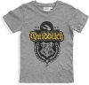 Harry Potter Quidditch Grey gyerek rövid póló, felső 12 év / 152 cm