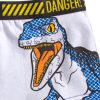Jurassic World gyerek boxeralsó 2 darab/csomag 4 - 5 év / 104 - 110 cm