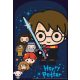 Harry Potter Graphic ajándéktasak, ajándékzacskó 8 db-os
