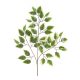 FAÁG FICUS ZÖ/FE3ÁG/42LEV66