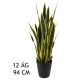 ANYÓSNYELV ZÖL/SÁR 12ÁG94CM