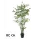 BAMBUSZPÁLMA ZÖLD     180CM