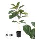 FICUSFA 2ÁG ZÖLD         87