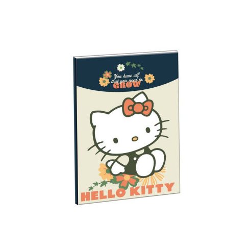 Hello Kitty Stay Sunny B/5 vonalas füzet 40 lapos