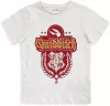 Harry Potter Quidditch gyerek rövid póló, felső 10 év / 140 cm