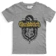 Harry Potter Quidditch Grey gyerek rövid póló, felső 10 év / 140 cm