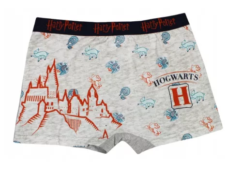 Harry Potter Castle gyerek boxeralsó 2 darab/csomag 6 - 8 év / 116 - 128 cm