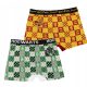 Harry Potter House Pride gyerek boxeralsó 2 darab/csomag 9 - 10 év / 134 - 140 cm