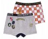 Harry Potter Hogwarts House gyerek boxeralsó 2 darab/csomag 9 - 10 év / 134 - 140 cm