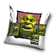 Shrek Fury párnahuzat 40x40 cm Velúr