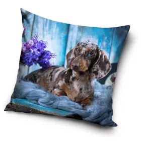 Kutyás Dachshund párnahuzat 40x40 cm