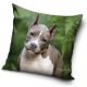 Kutyás Pit Bull Terrier párnahuzat 40x40 cm
