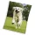 Kutyás Happytail Retriever coral fleece polár takaró 150x200cm