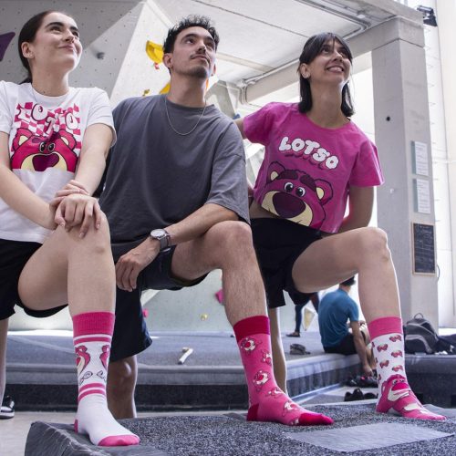 Disney Játékháború Lotso Pink felnőtt hosszú szárú zokni 36/43