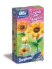 Virágkészítő szett Sunflowers 2 db-os Clementoni