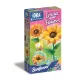 Virágkészítő szett Sunflowers 2 db-os Clementoni