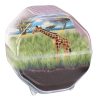 Mini Giraffe terrárium Clementoni
