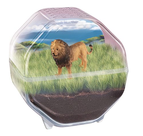 Mini Lion terrárium Clementoni