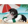 Kutyás Beach 104 db-os puzzle Clementoni