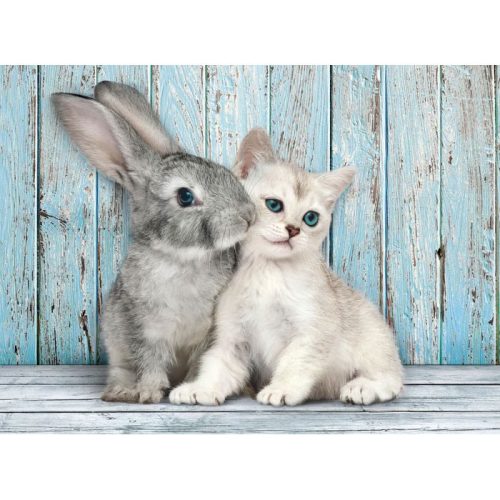 Állatos Cat & Bunny 500 db-os puzzle Compact Clementoni