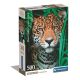 Állatos Jaguar 500 db-os puzzle Compact Clementoni