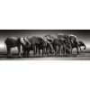 Elefánt Herd of Giants 1000 db-os panoráma Compact puzzle Clementoni