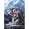 Anne Stokes Protector 1000 db-os Compact puzzle Clementoni