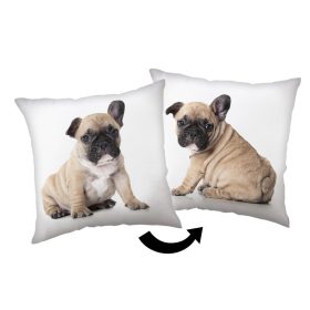 Kutyás Bulldog párna, díszpárna 40x40 cm