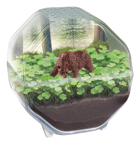 Mini Bear terrárium Clementoni II. osztály