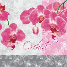 Orchidea Romantic szalvéta 20 db-os 33x33 cm