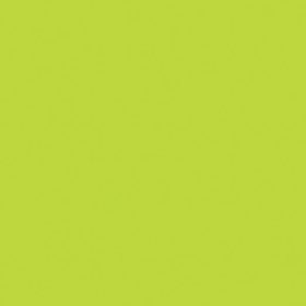 Kivi zöld Maki szalvéta 20 db-os 33x33 cm