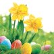 Húsvét Daffodils szalvéta 20 db-os 33x33 cm