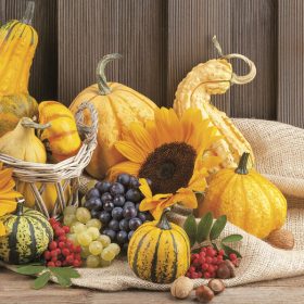 Ősz Fruits szalvéta 20 db-os 33x33 cm