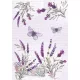 Levendula Butterfly A/4 gumis mappa