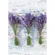 Levendula Bouquet A/4 gumis mappa