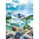 Természet Sea Glass A/4 gumis mappa