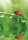 Természet Ladybug A/4 gumis mappa