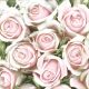 Rózsa Subtle Light Pink szalvéta 20 db-os 33x33 cm