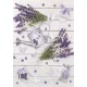 Levendula Rustic A/4 gumis mappa