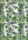 Természet Fern and Butterfly A/4 gumis mappa