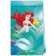 Disney Hercegnők, Ariel Curious papírzacskó 4 db-os FSC