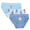Bluey Fun gyerek fehérnemű, alsó 3 darab/csomag 3 - 6 év / 98 - 116 cm