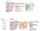Disney Bambi Infant baba zokni 0-12 hó