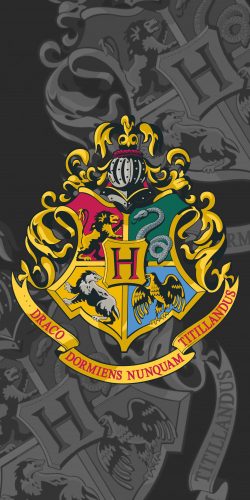 Harry Potter fürdőlepedő, strand törölköző 70*140cm